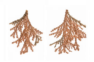 Brincos Arboreos Rose