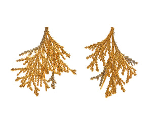 Brincos Arboreos Gold