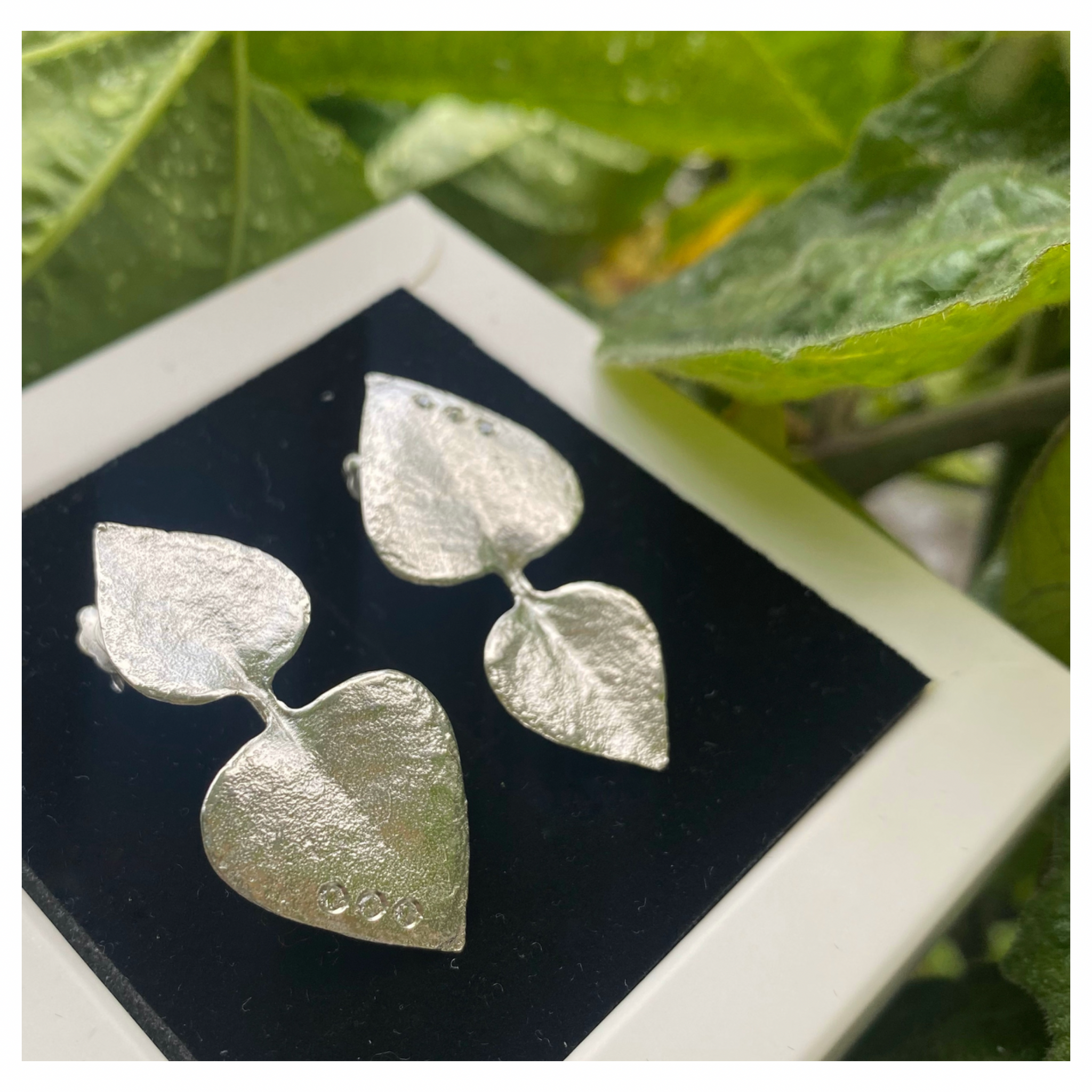 Brincos Coraca Silver