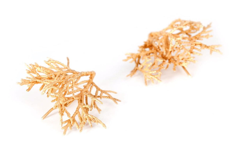 Brincos Frutectum Gold XS